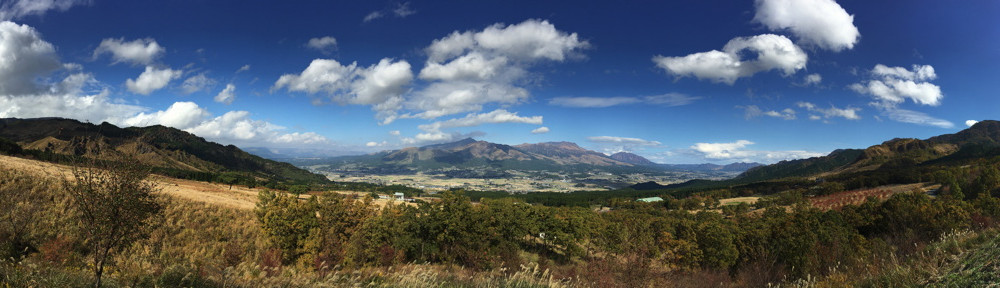 おさるのHomepage!