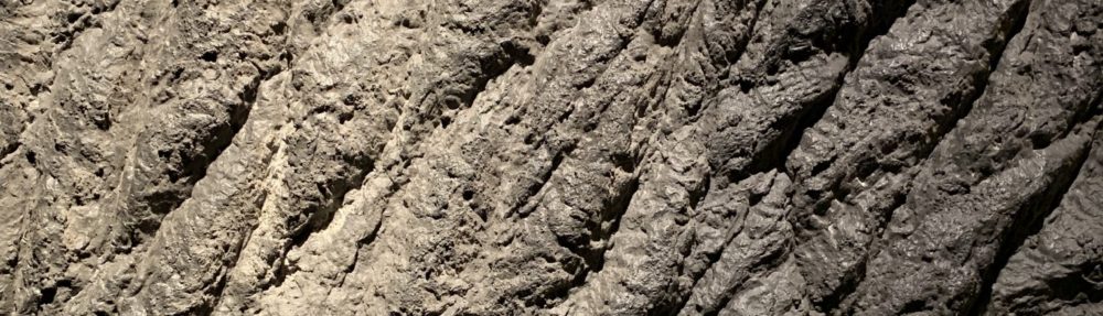 おさるのHomepage!