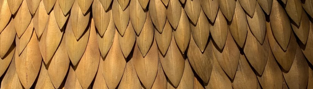 おさるのHomepage!