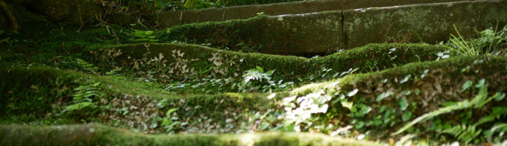 おさるのHomepage!